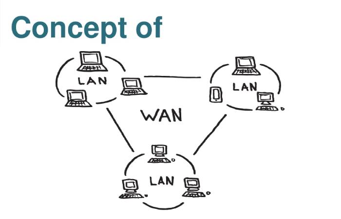 wan network